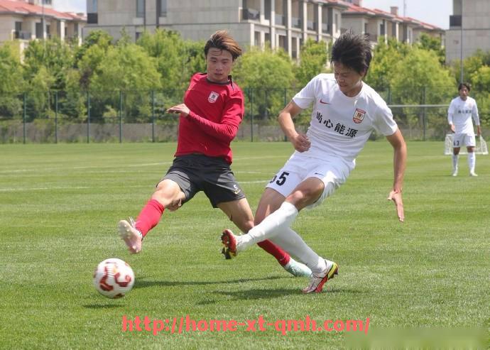 球盟会官网-德甲各支球队的主力成员与位置分布现状分析